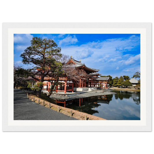 2d202e0e-d792-4d49-82a2-71c7c8da1988