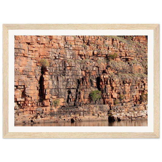 49197f0d-e880-40c5-b12e-4c0686fced7a