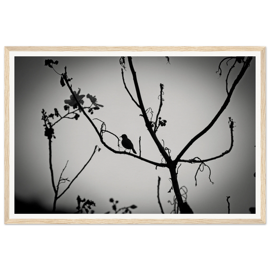 649769b5-be2f-4ac4-81f4-8f741a94407c