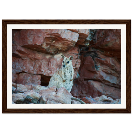 79864f54-ea0d-4982-9873-9dc7c1cbced4