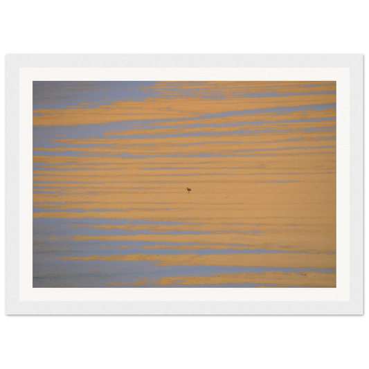 851030c8-1dbe-481d-aff9-f6eada1c64a6