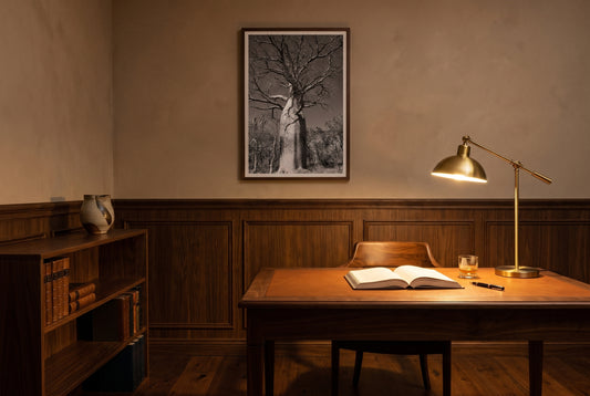 Ancient Sentinel — El Questro Boab, framed above a walnut writing desk in a compact home study — leather inlay, brass tungsten lamp, leather-bound books, dark wood frame. — Two Fat Bunnies.