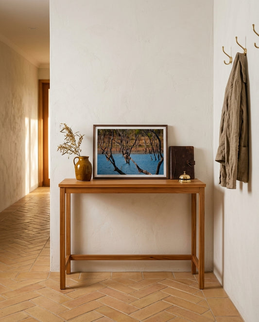 Snakebird Stillness — Australasian Darter at Lake Argyle, framed in a terracotta tile hallway — slim oak console, ceramic vessel, woven runner, dark wood frame. — Two Fat Bunnies.