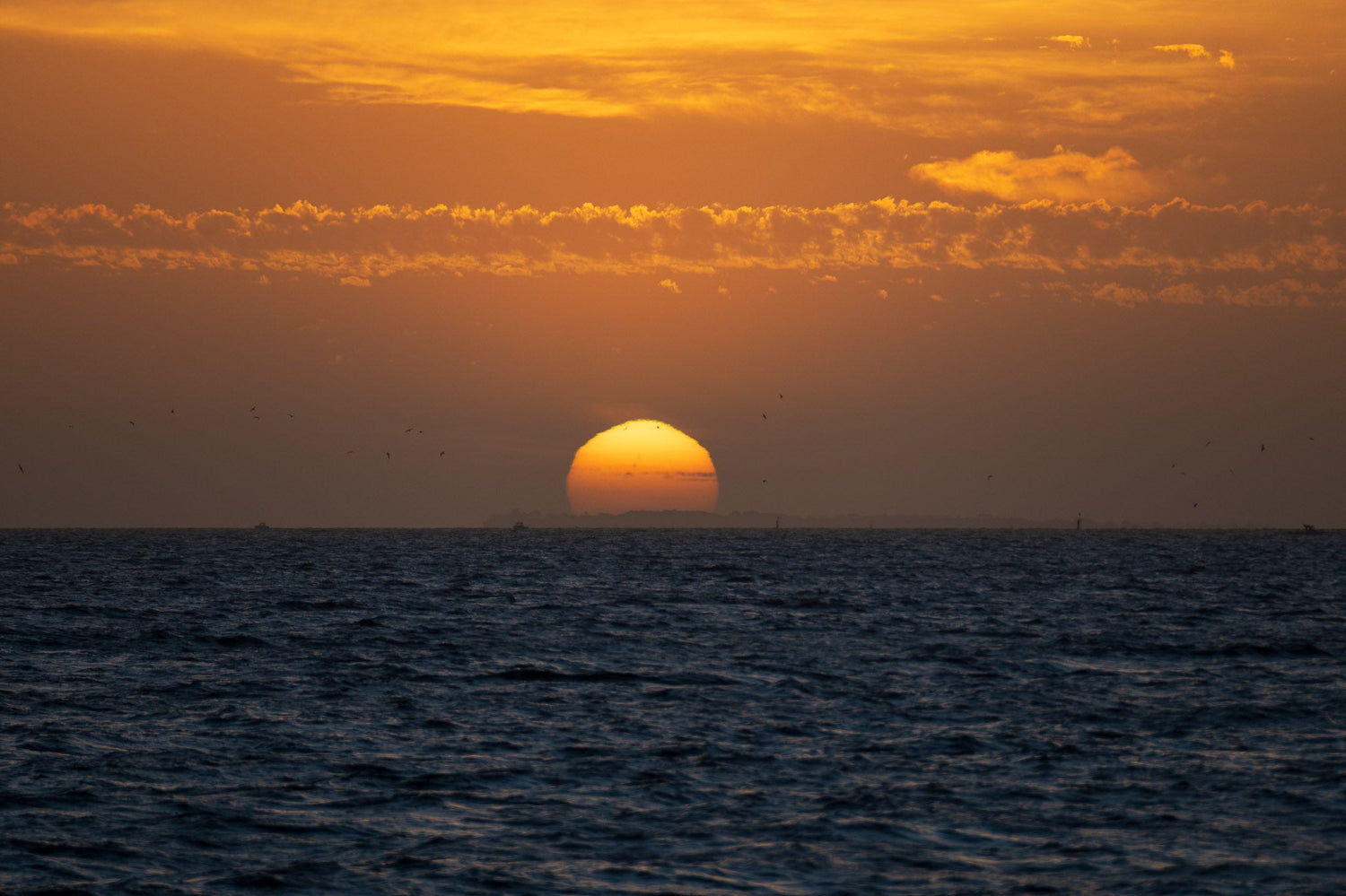 Melbourne Collection