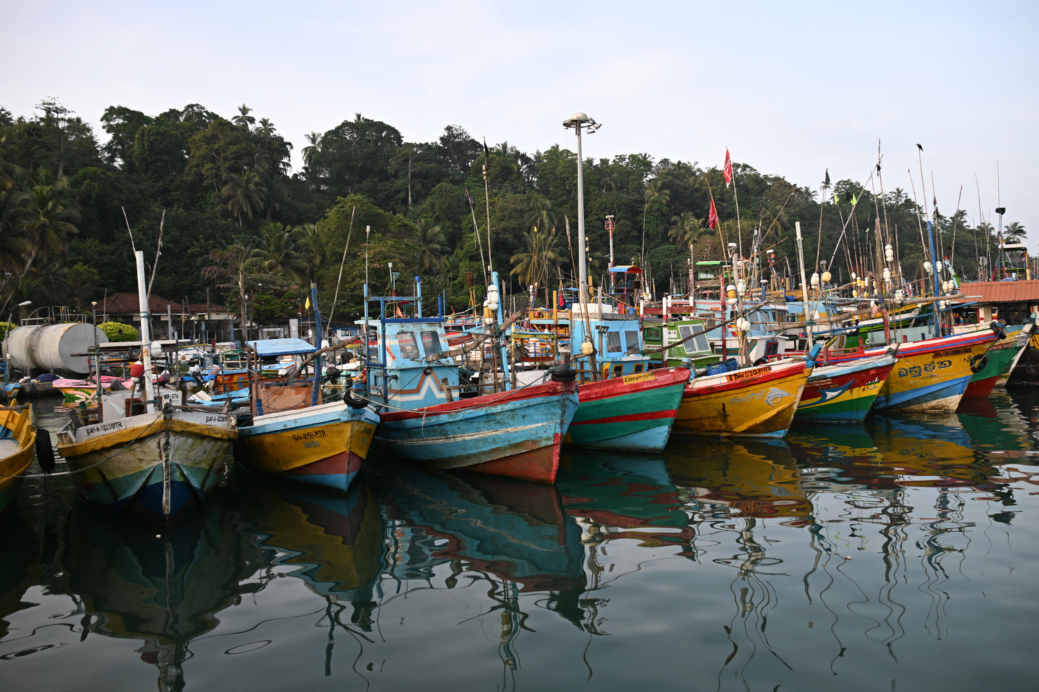 Traditional fishing boats moored at a Southern Sri Lankan fishing village. Coming soon to Two Fat Bunnies. — Two Fat Bunnies.