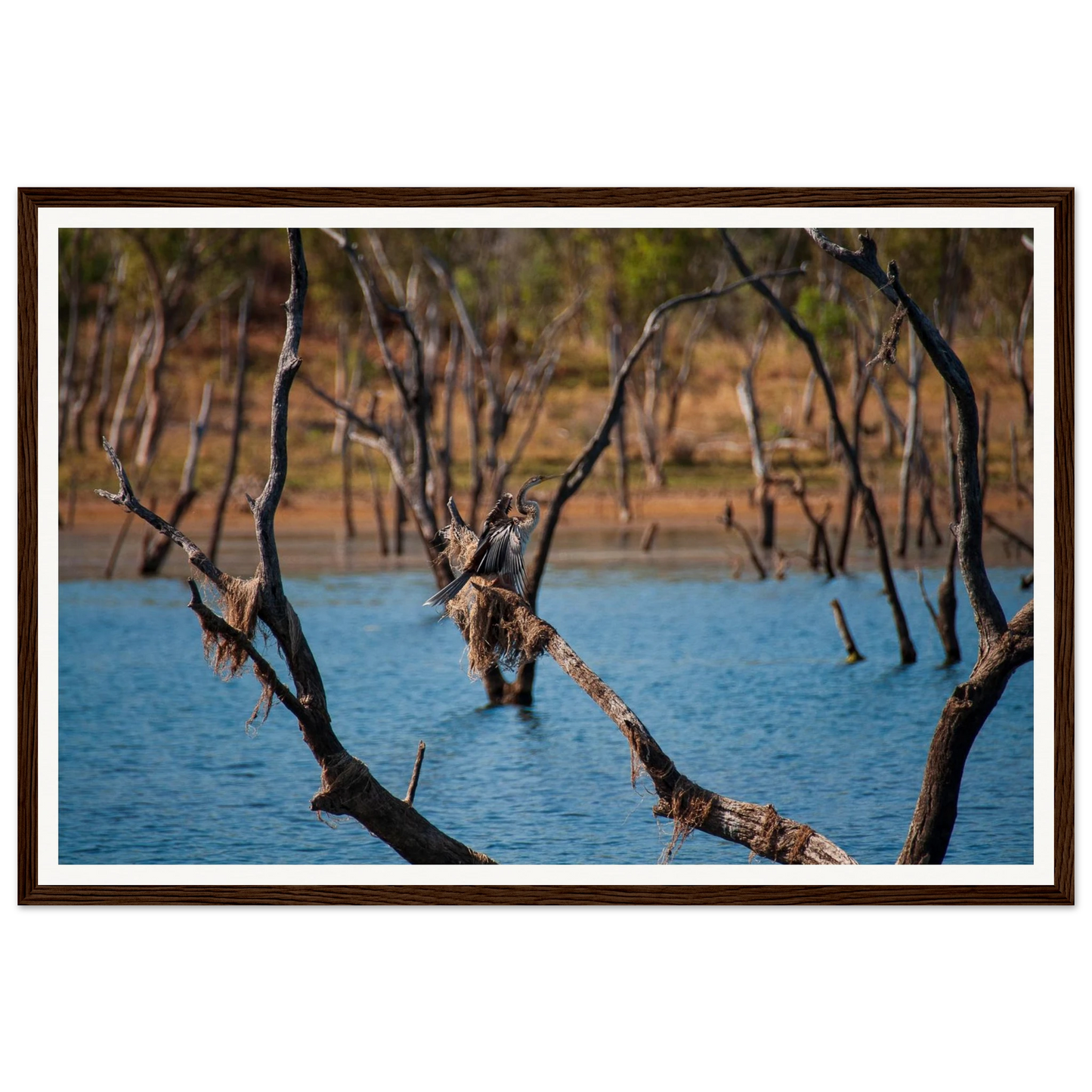 019a7620-9283-413d-8e85-7891bede2b32