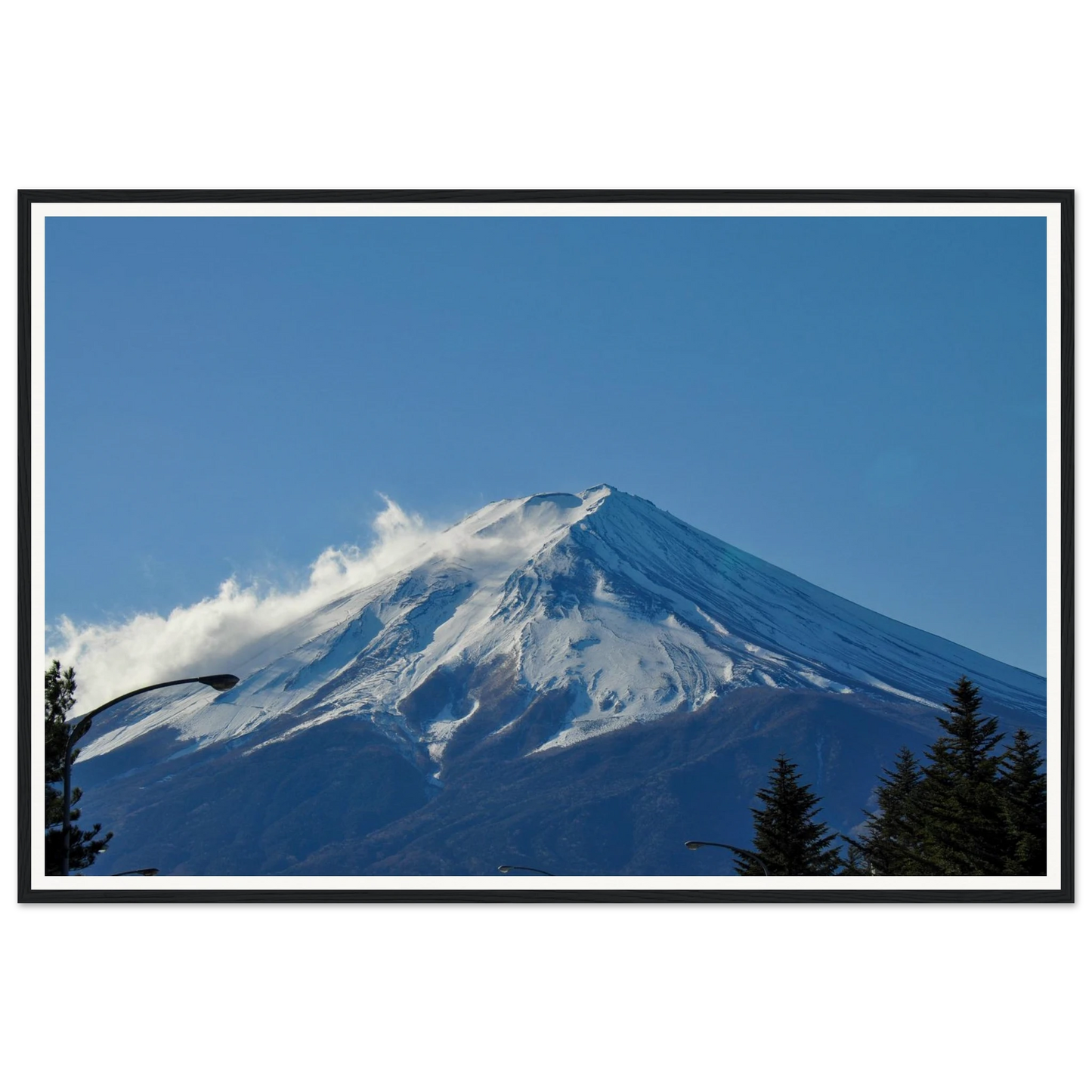 08f2c597-cec8-4776-9a70-1eac36f13660