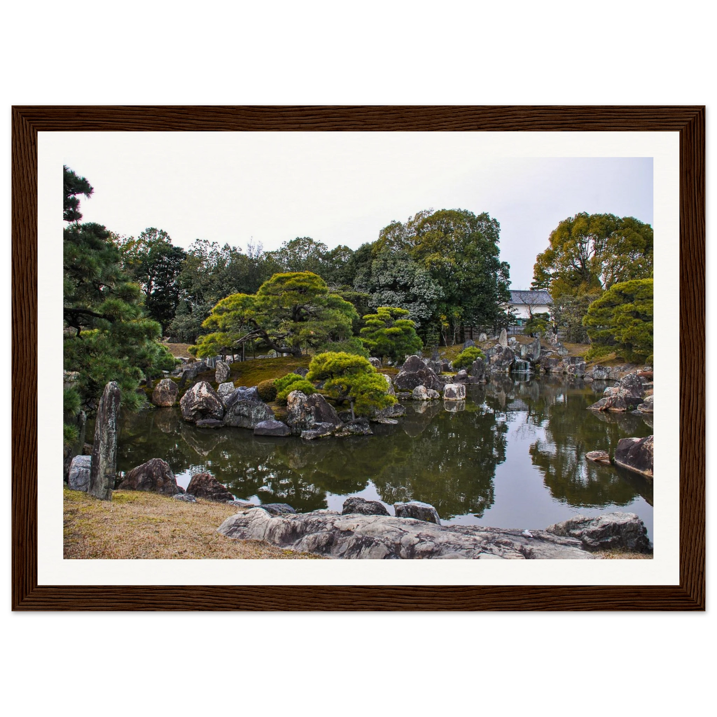 0971ddd8-eb9e-4458-b835-c0da0cdd6089