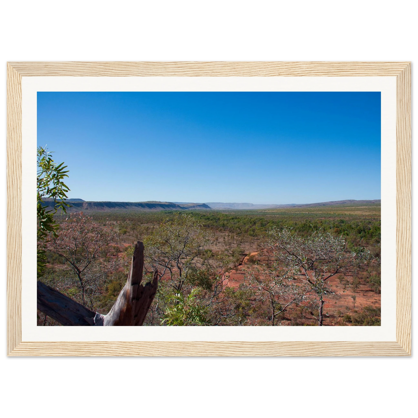 0d350b03-3f44-47ea-8e6a-aa3a7b375ee0