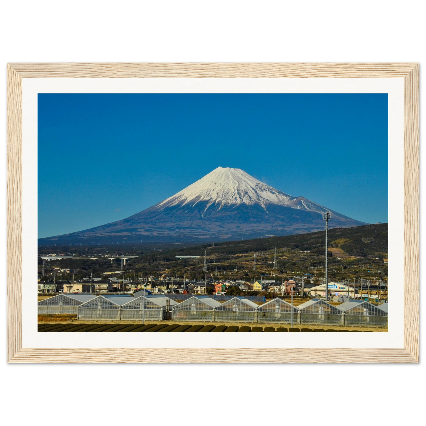 0e6d8534-a21a-4674-9267-0546e406a70e