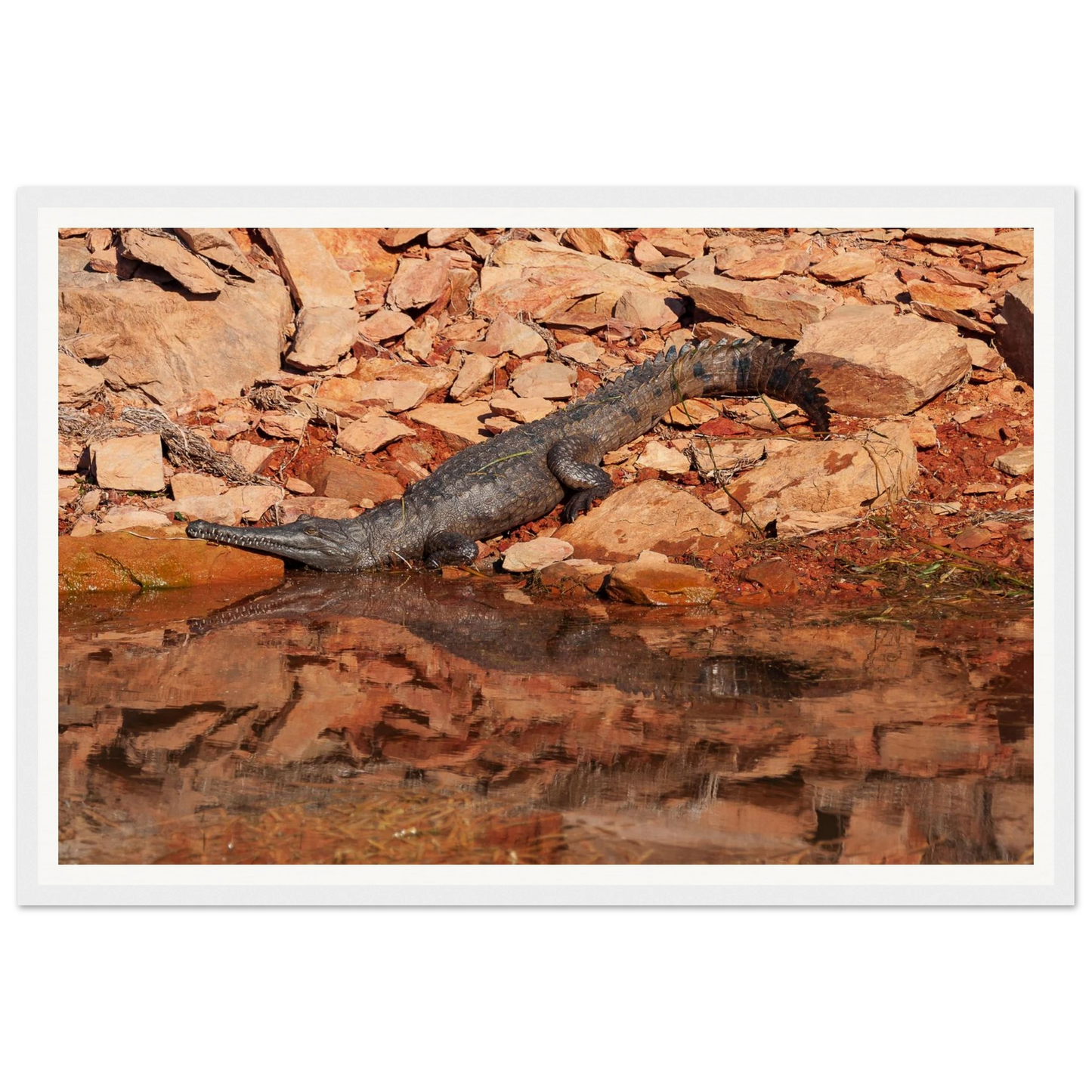 0ef24e1b-794f-4665-aded-0159e509c891