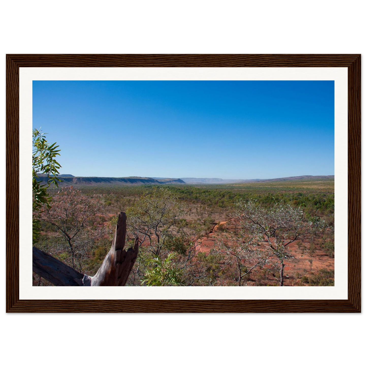 1407a707-1b49-4bbb-a73e-af577042534f