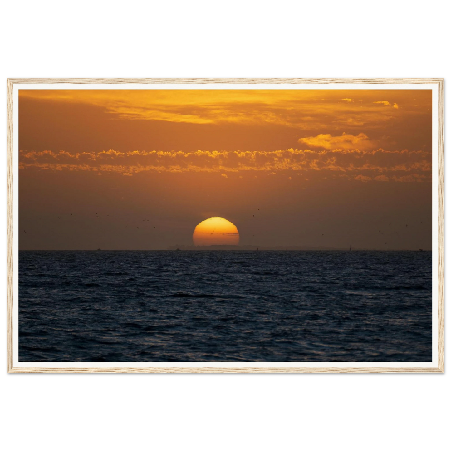 1796493b-e113-4036-b556-5104c59e162a