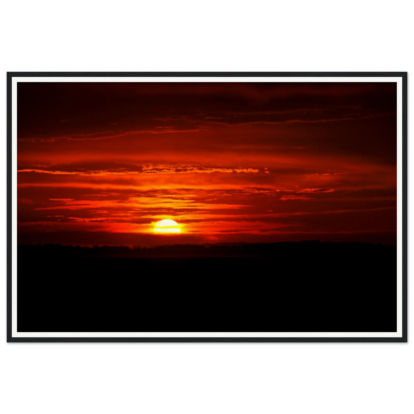 1a563fb7-07d1-440c-9eea-9500500c5258