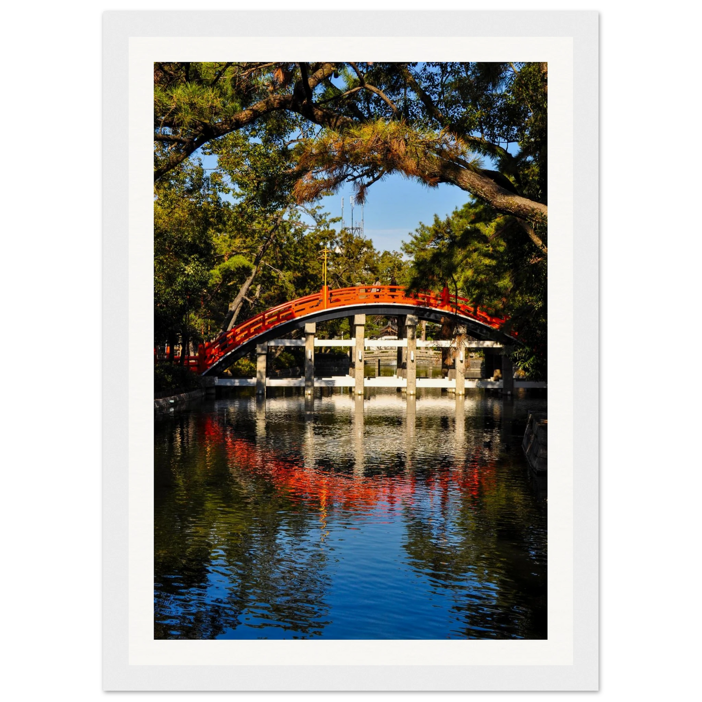 1a9fa28c-3240-46cf-b263-7aed4e8bd9bb