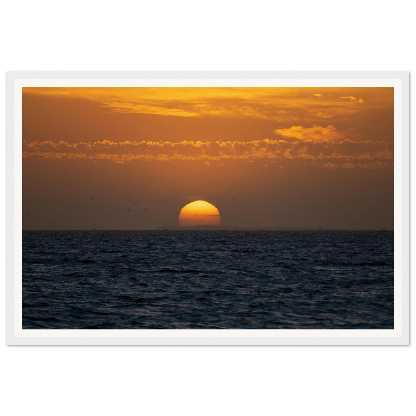 1f514db2-da82-4172-a446-dd190f4f0270