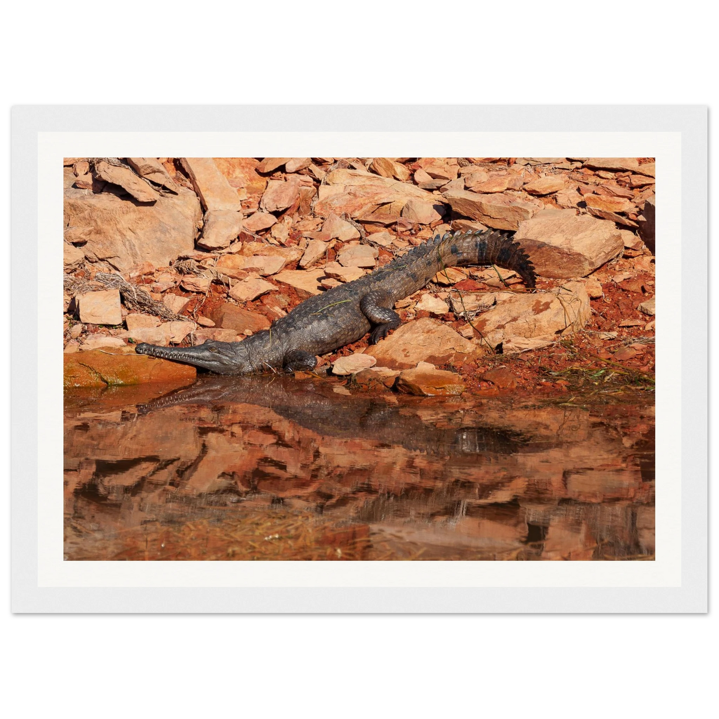 2283edd9-5782-4ae7-818b-2f81251e894c