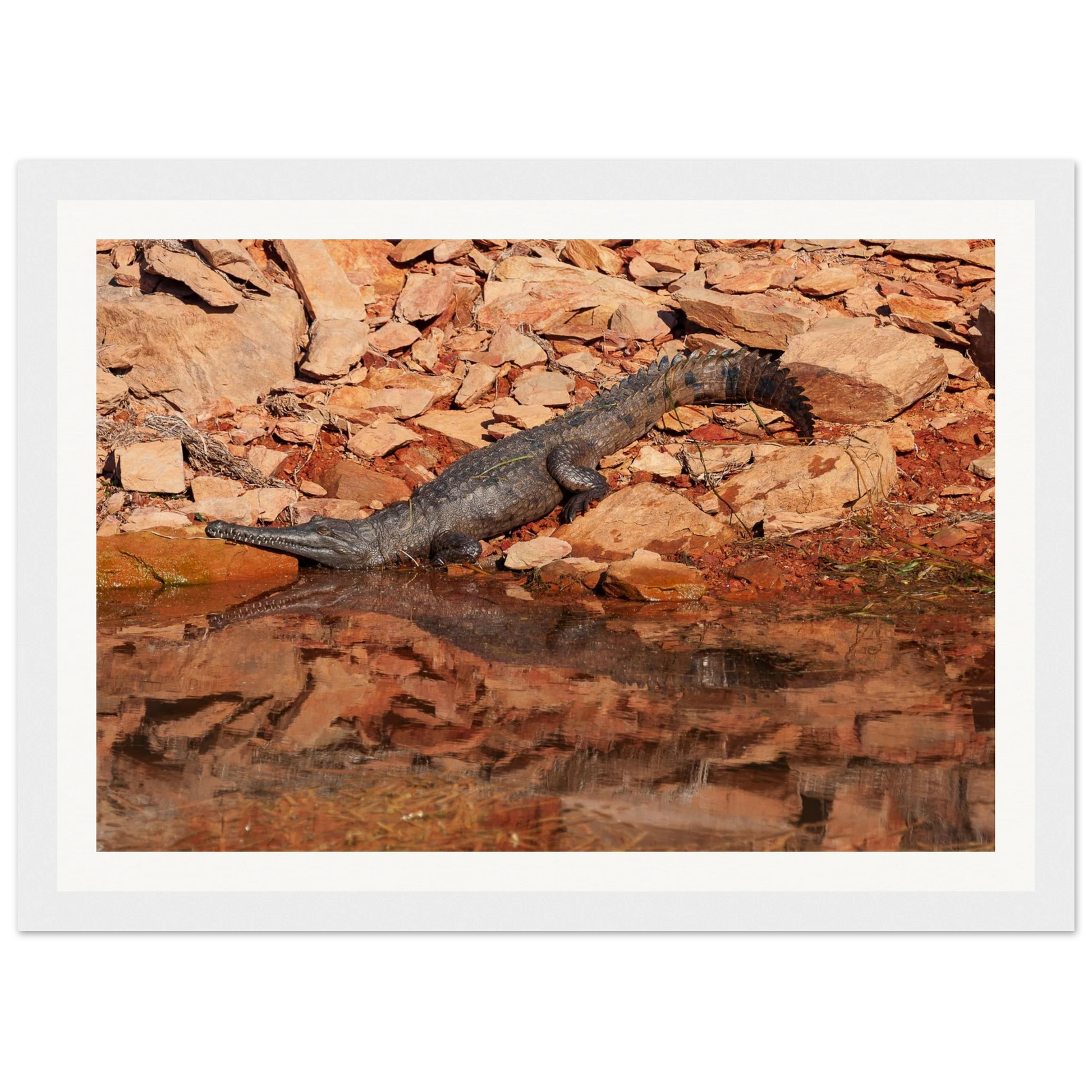 2283edd9-5782-4ae7-818b-2f81251e894c