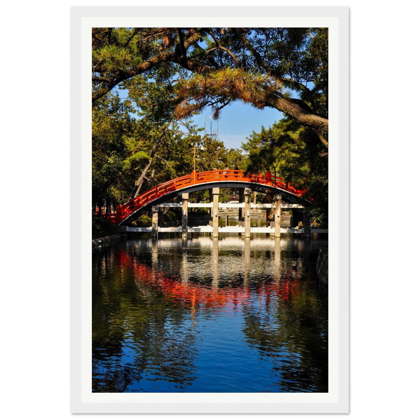 22c6335a-561e-4622-8376-0ce737e1b618