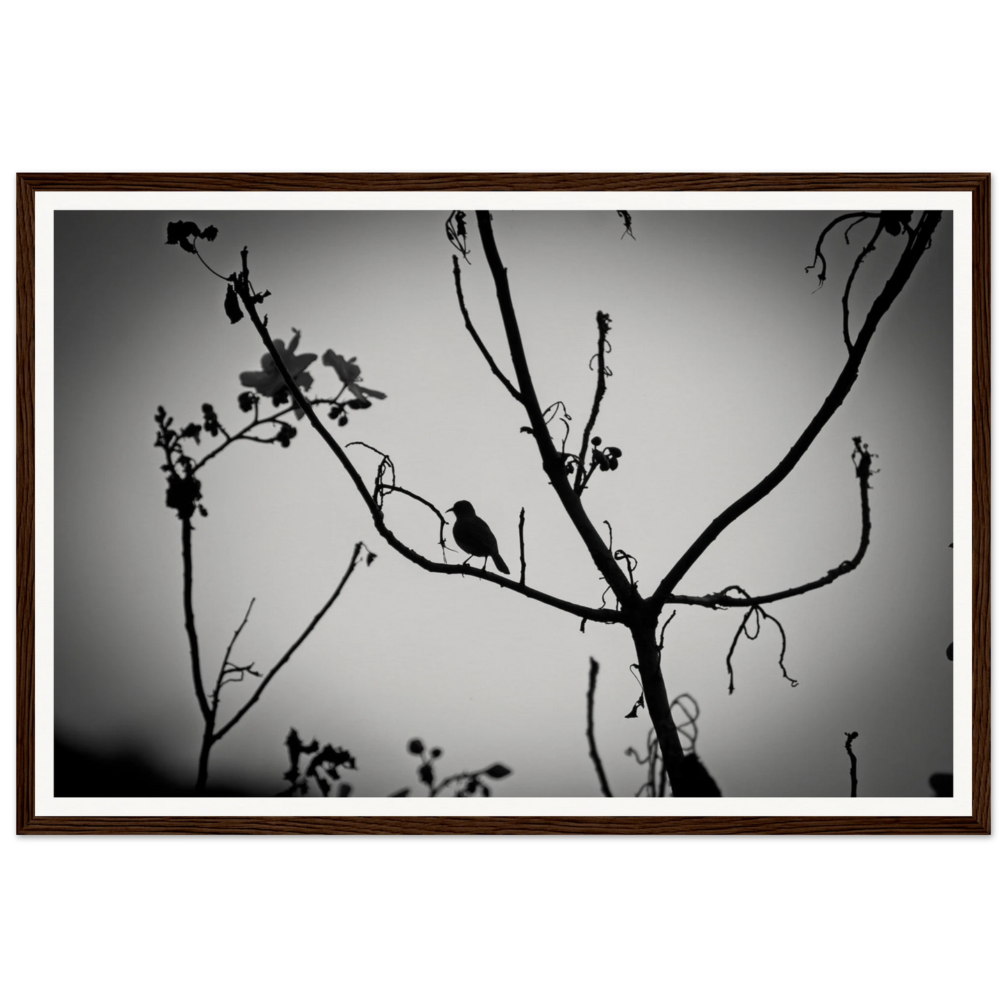 2322f84f-427b-4cee-ac78-9d4146cb61b2