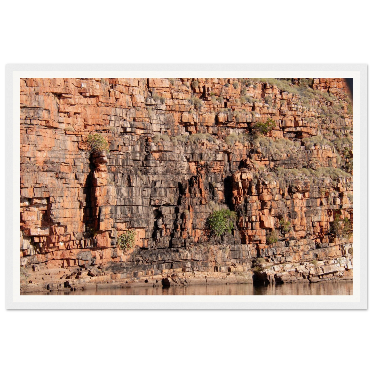 234af33a-b7a4-45b2-a01b-5a50b0101e1d