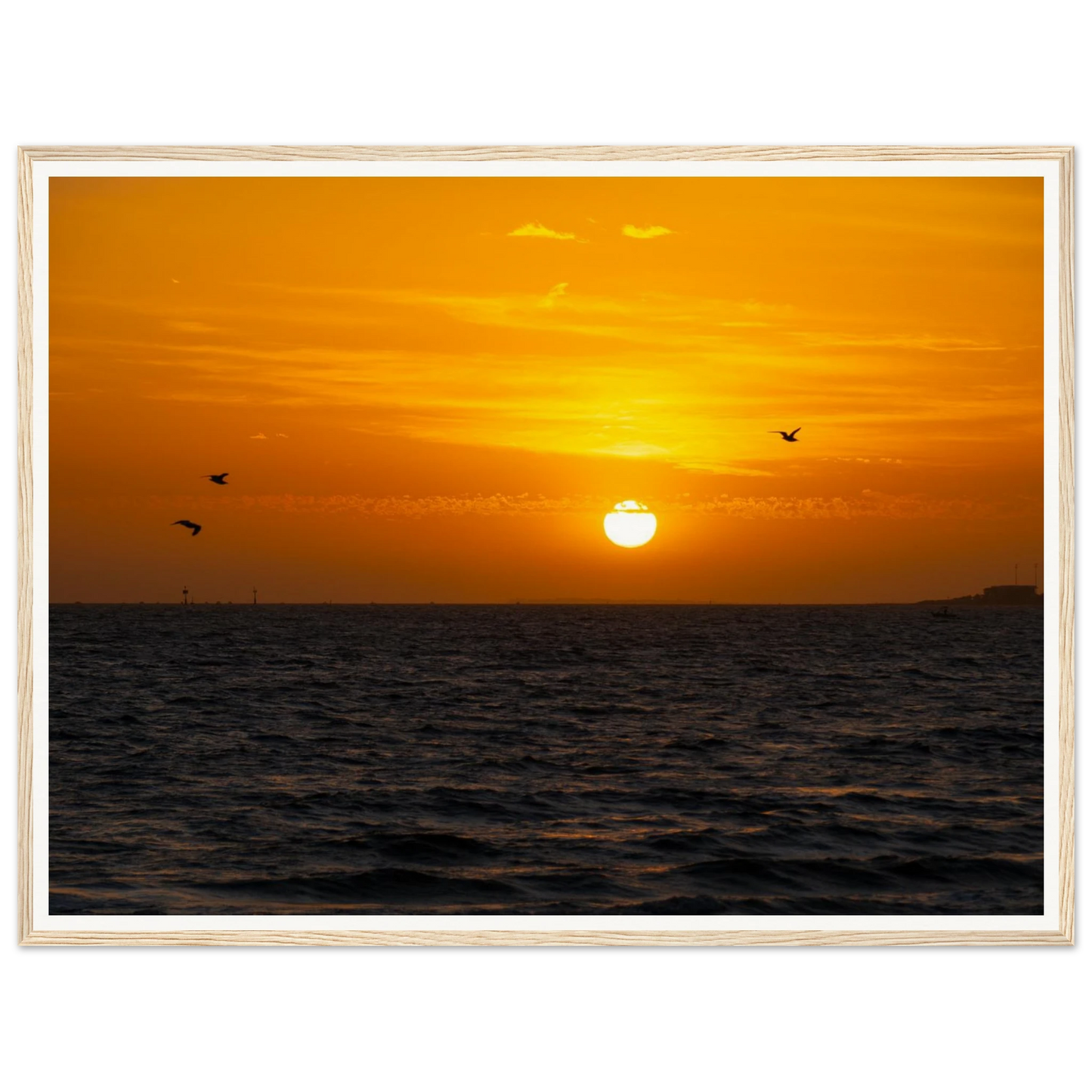 23e1d076-62cf-4bfd-b836-886cf22d98ff