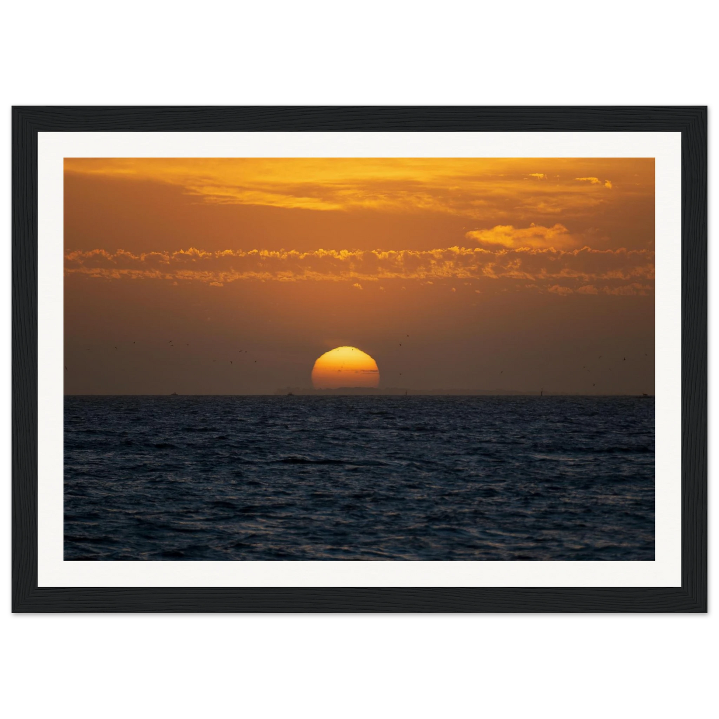 2477575a-e13a-40cc-9837-a76a1acce27c