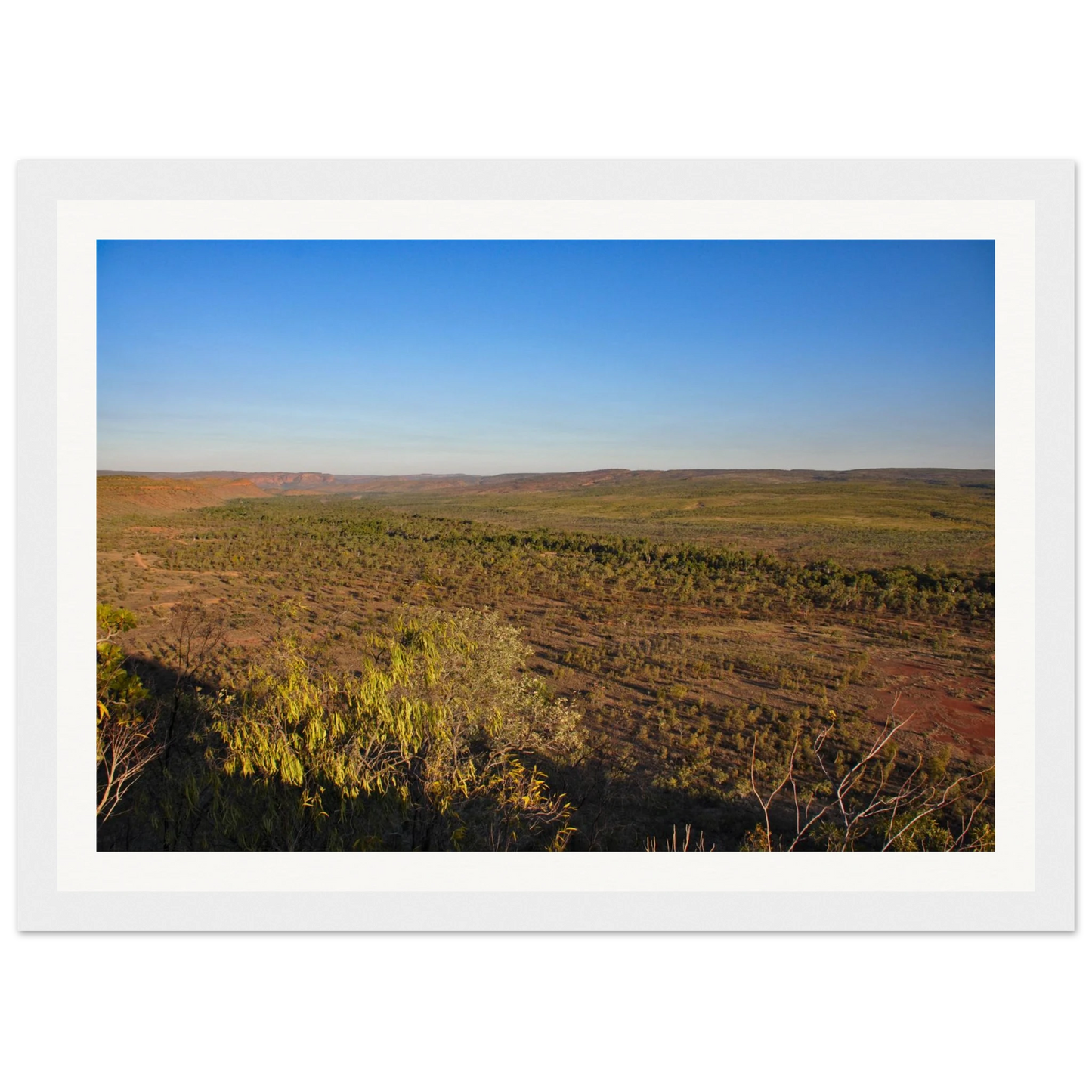 25ea575a-0b4d-471f-b1fb-af2170a539ff