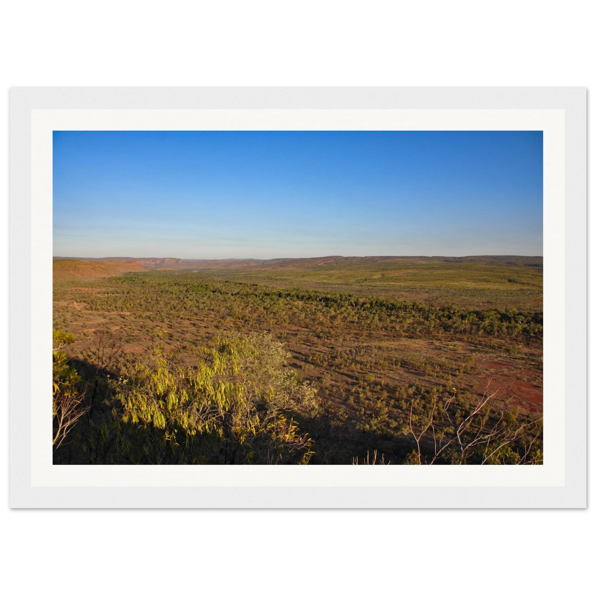 25ea575a-0b4d-471f-b1fb-af2170a539ff