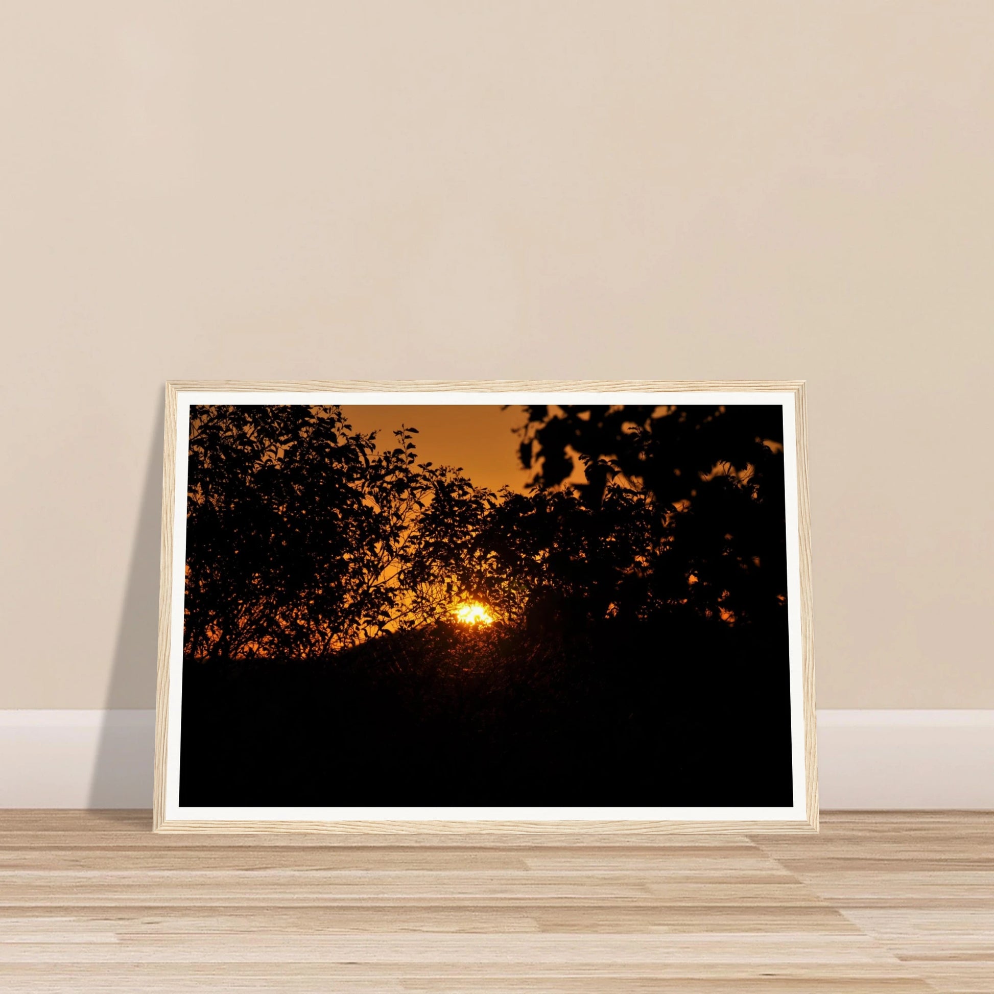 29abea31-9c7f-47a8-8509-b039f1ba160f