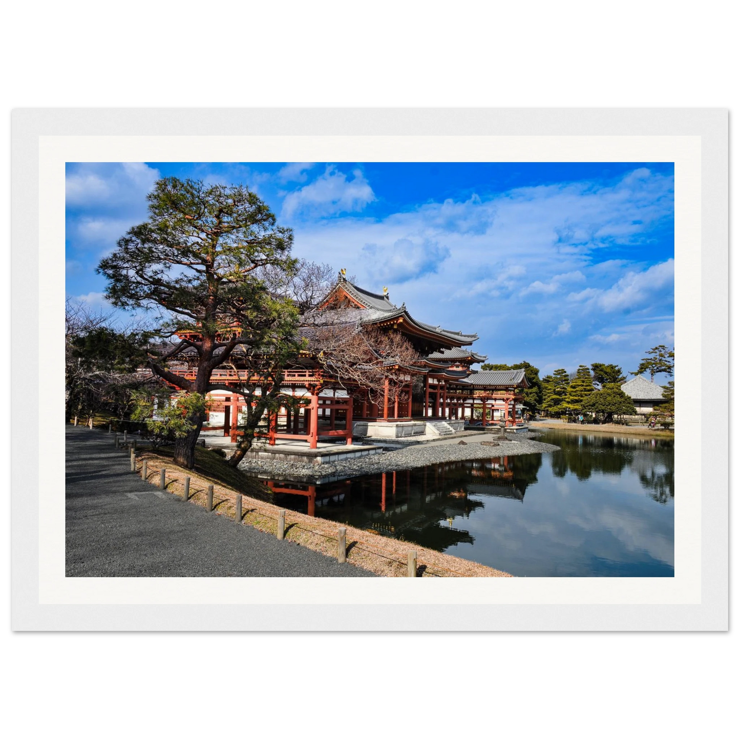 2d202e0e-d792-4d49-82a2-71c7c8da1988