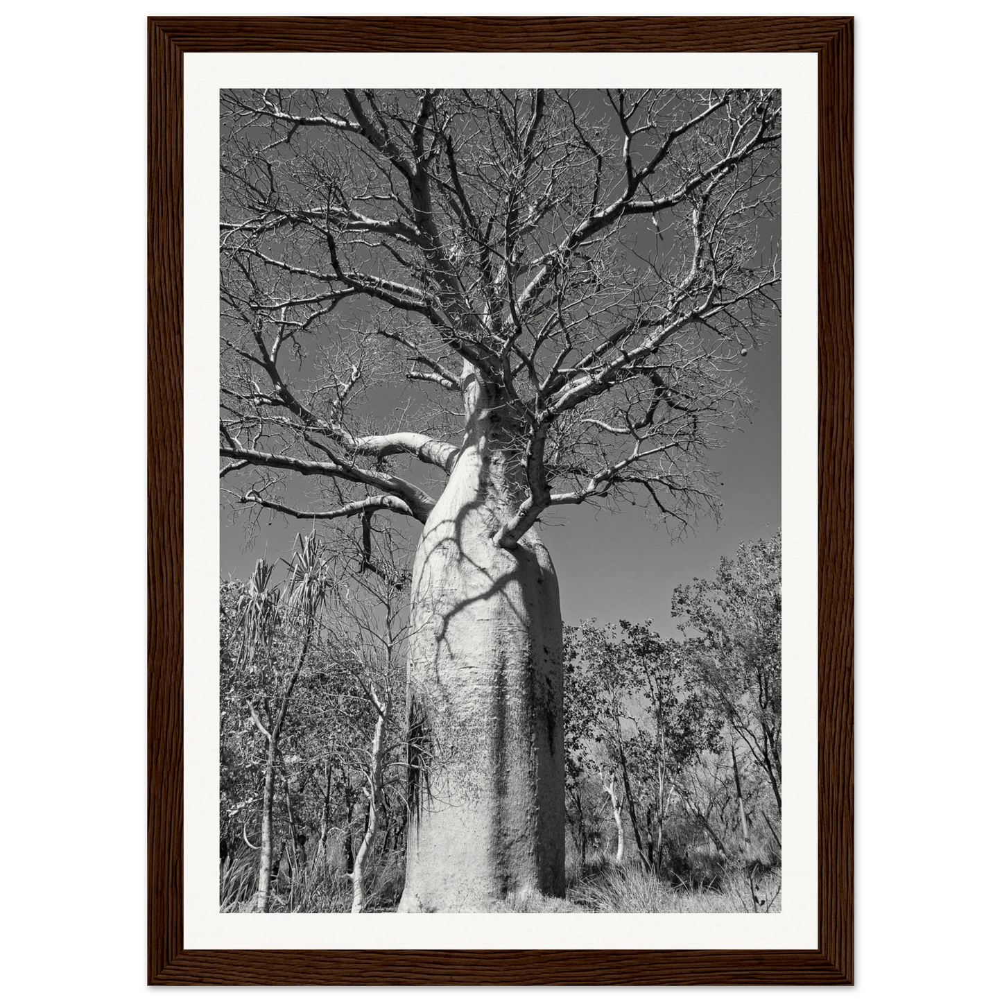 2d996c3b-3469-4504-b8dc-771639b06b06