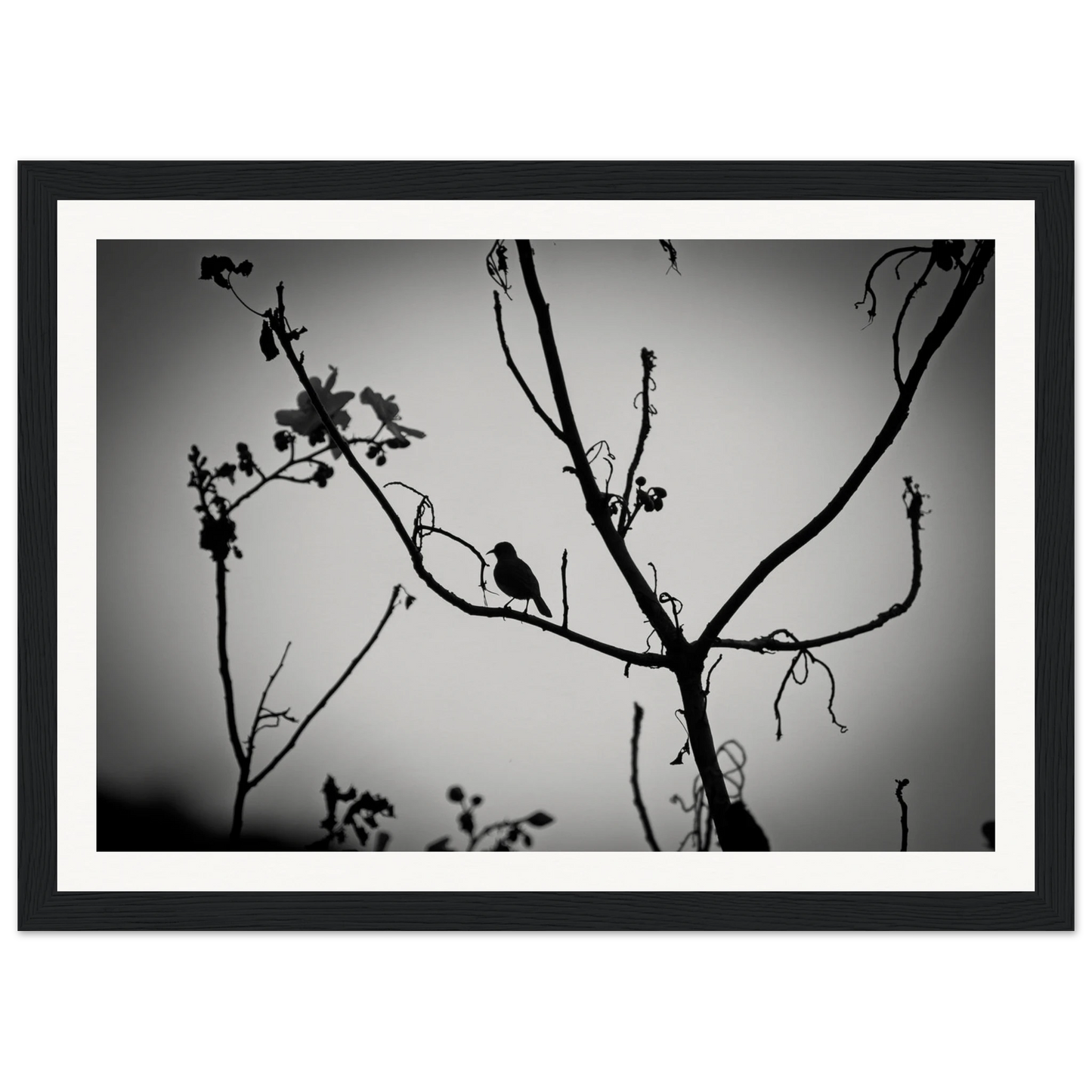 2e778b6f-297f-4f42-bf7b-cf071acae568