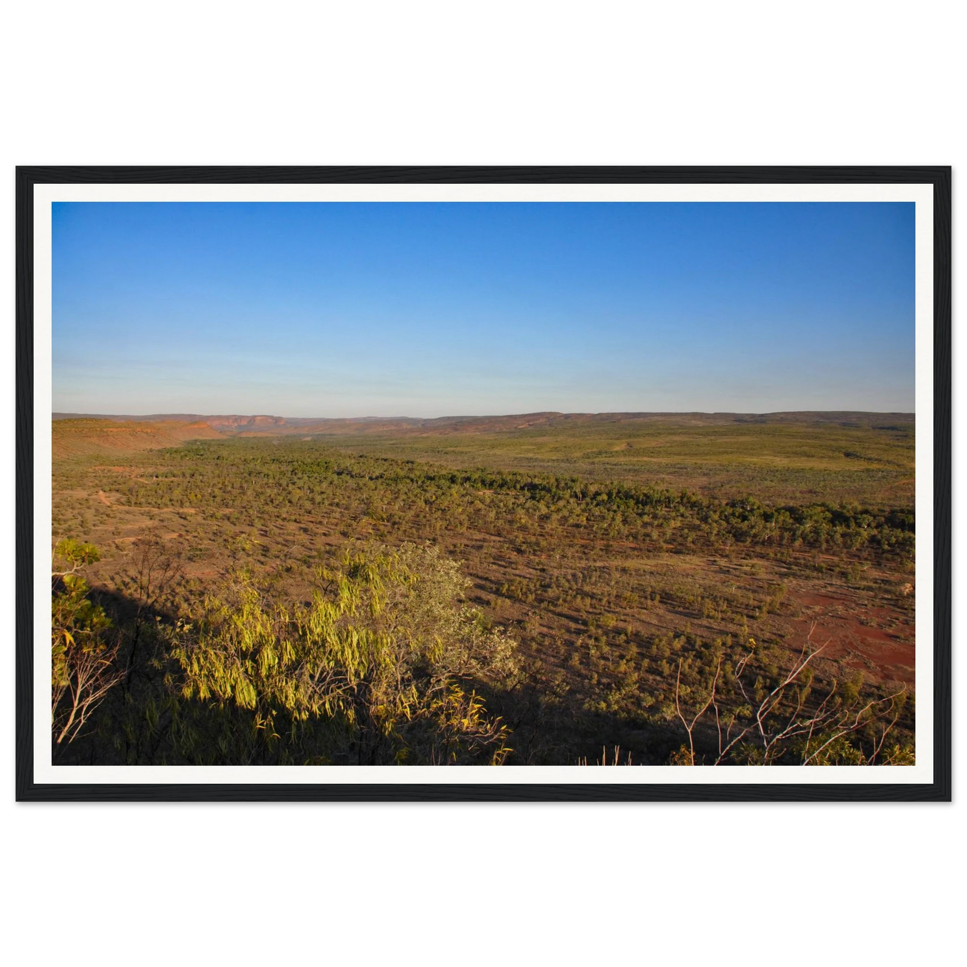 Golden Hour Across El Questro, Buddy's Lookout. Fine-art landscape photograph of warm golden hour light across El Questro Wilderness Park from Buddy's Lookout, Kimberley region of Western Australia. Framed wooden poster · Made-to-order · Free Australia-wide shipping. — Two Fat Bunnies.