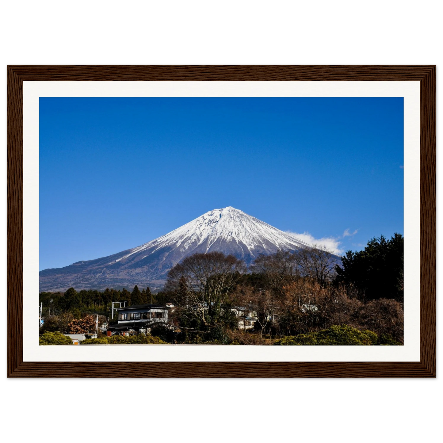 32321fa0-2f07-4fd9-9e54-38e4460aee1d