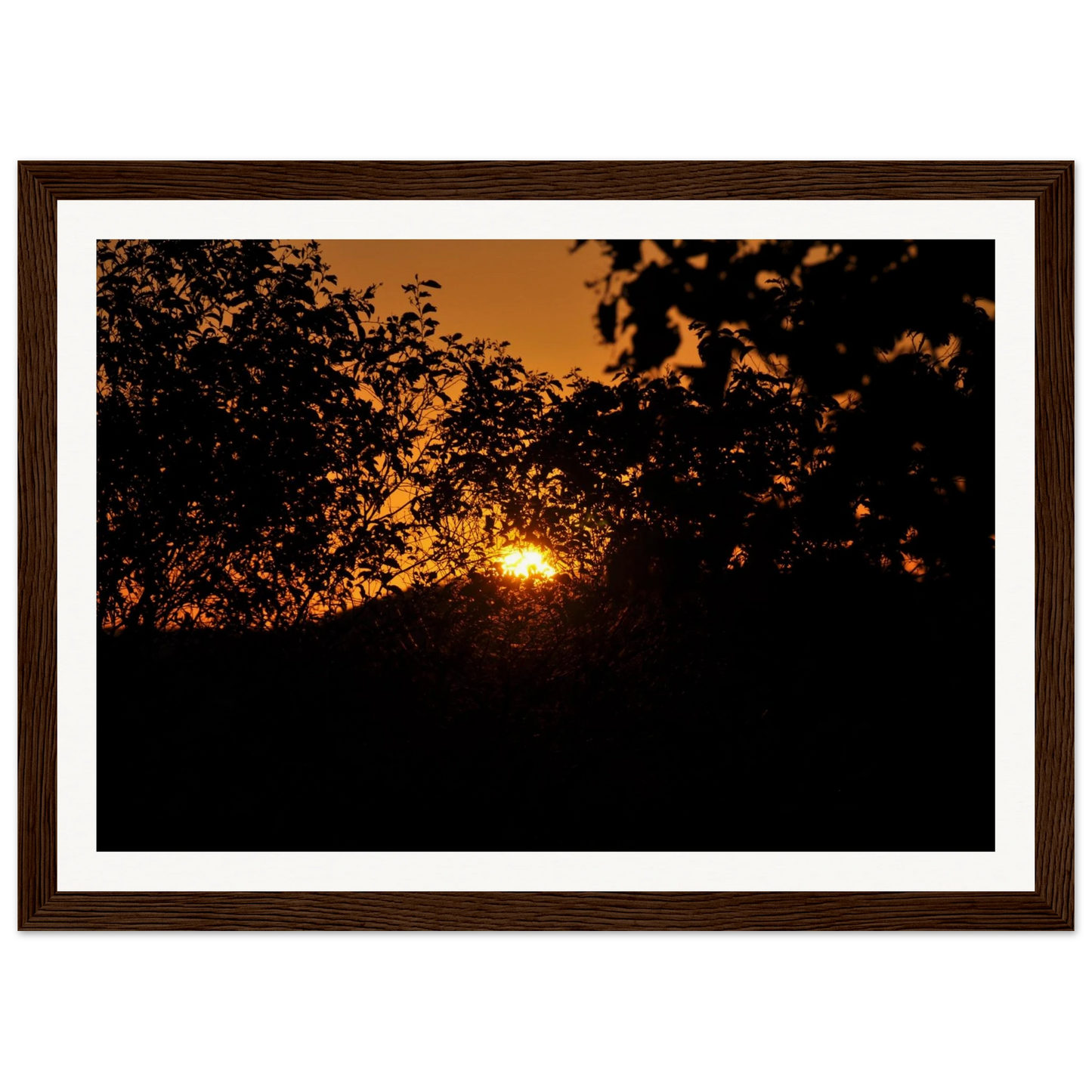 363a7448-60f5-4ec8-95ae-b823e59d604e