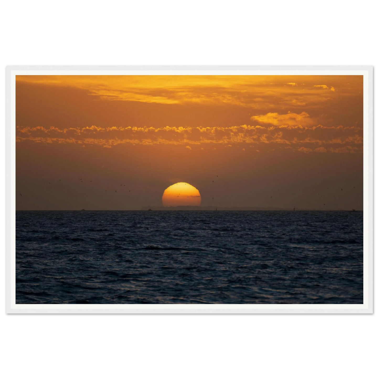 3ba57cae-4978-4323-ba56-b8436719fc45