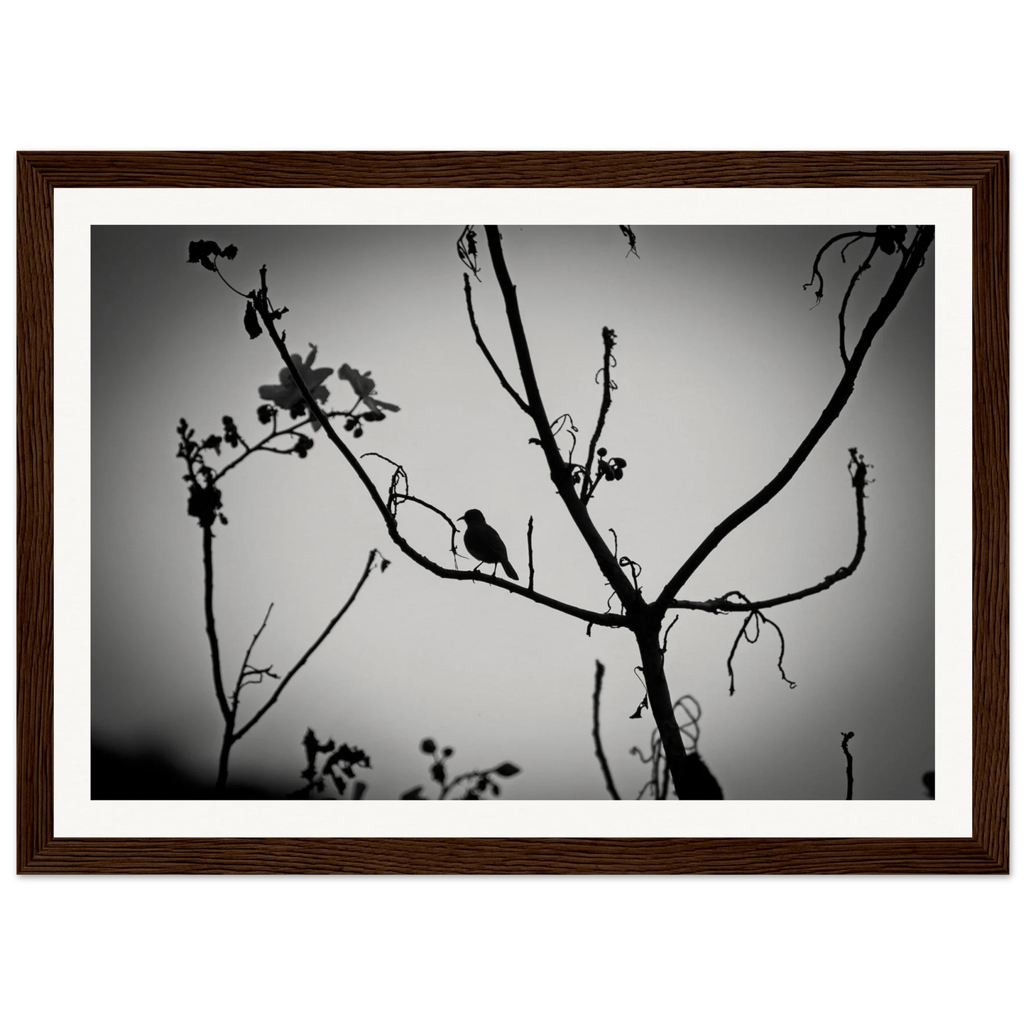 3c883040-78aa-403d-9dce-e2be7f0c4032