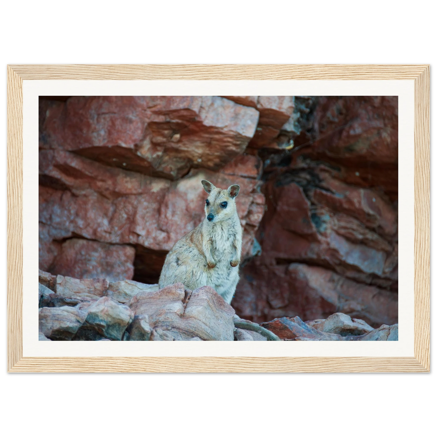 3cc035e3-5dda-458d-9728-d9455f5c5a2e