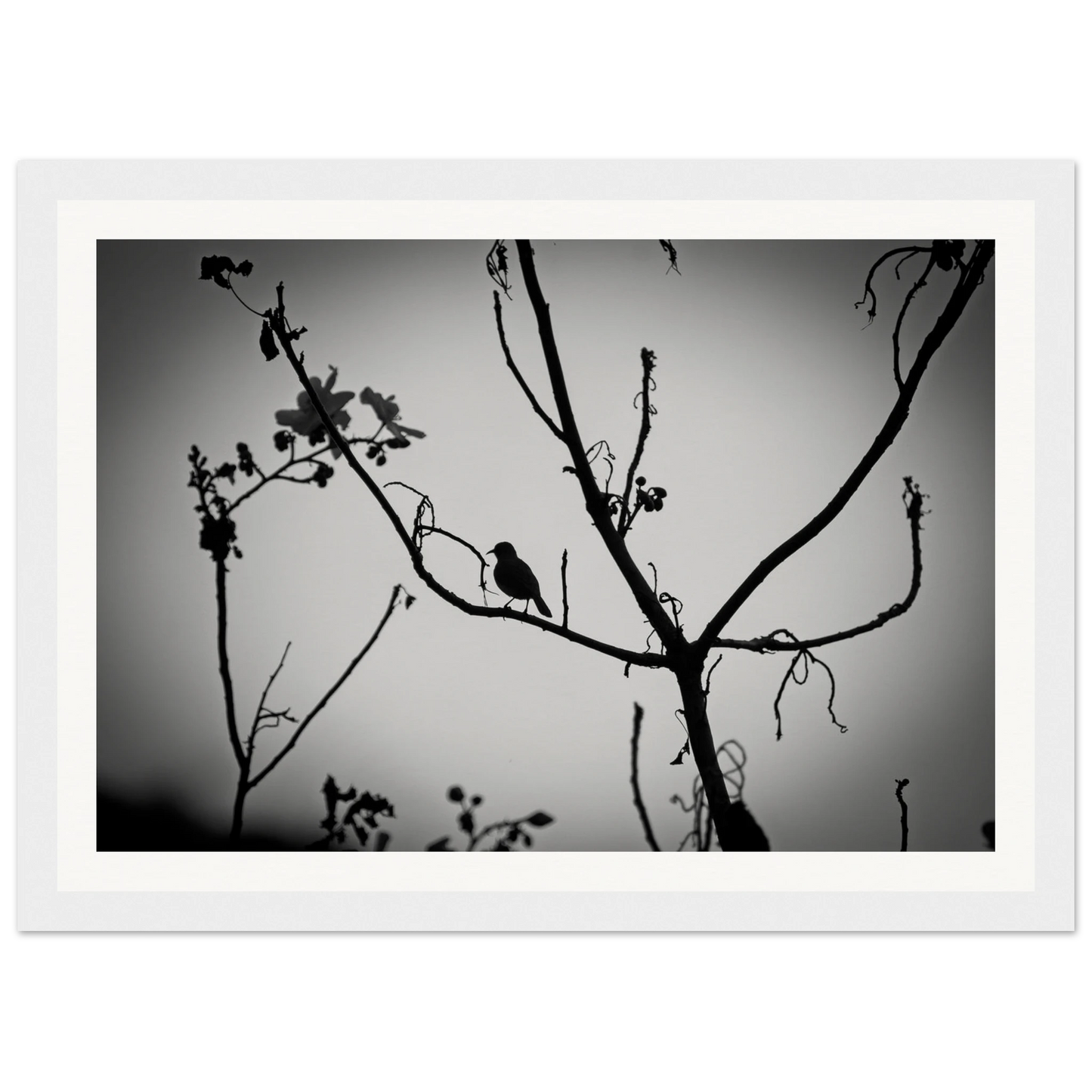 3d6c49bb-5901-47d0-a254-30d467b73ec4