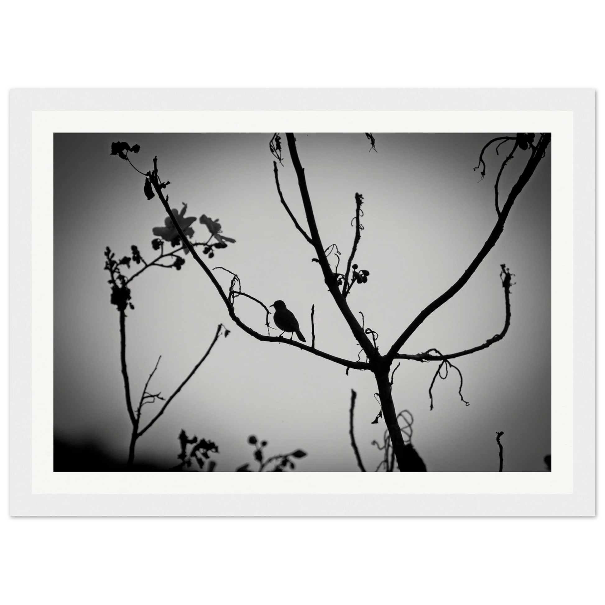 3d6c49bb-5901-47d0-a254-30d467b73ec4