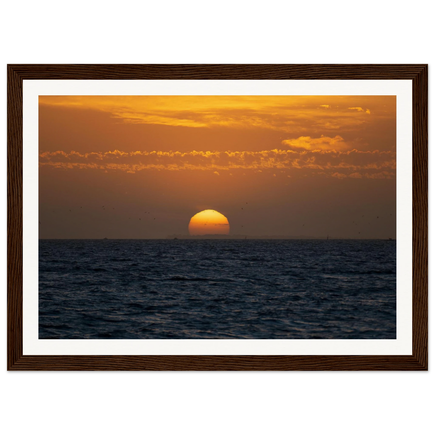 3e607435-6c44-499c-a055-b7d45c197f31