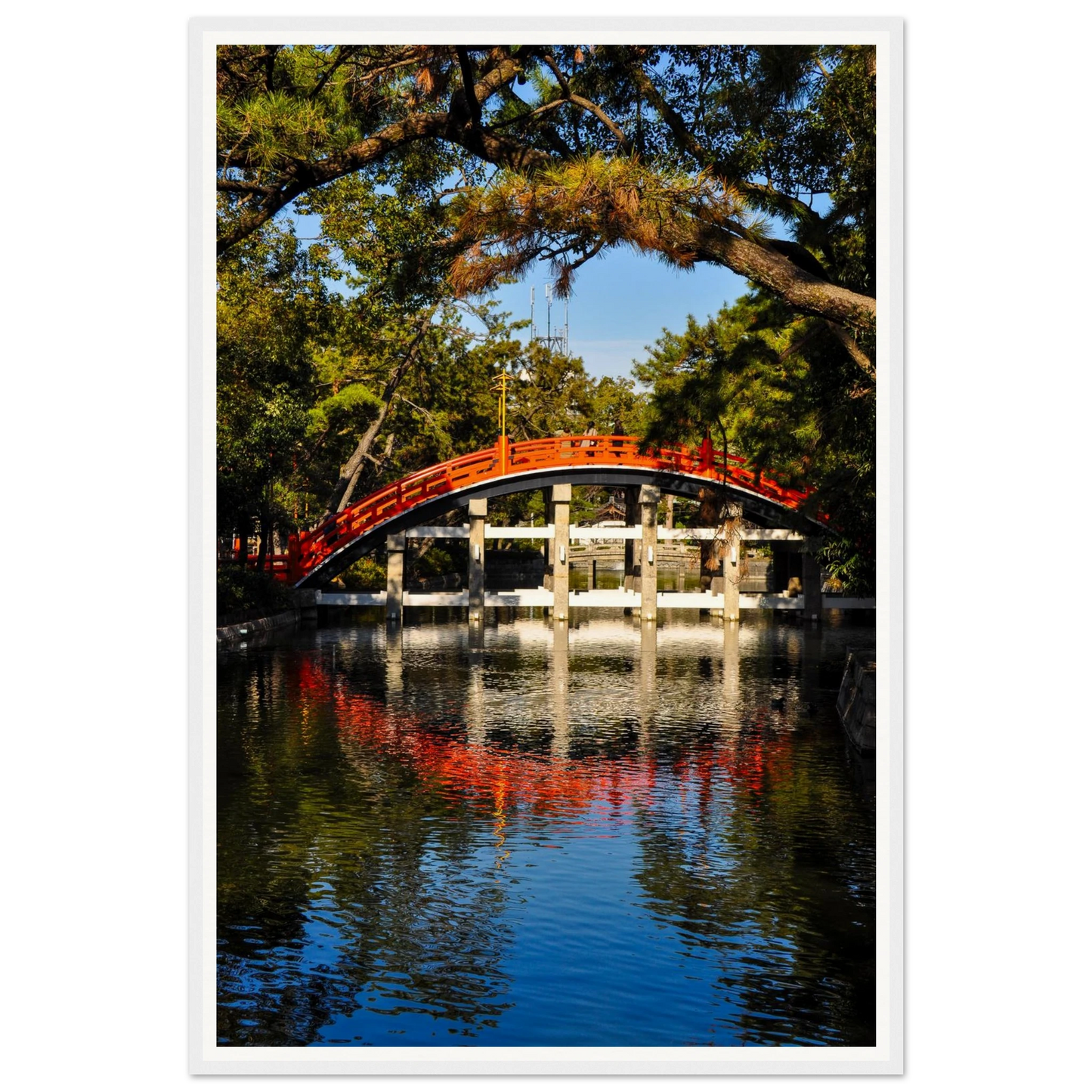 3f8fe5c4-e87f-4f82-a1d0-58835ed579a7