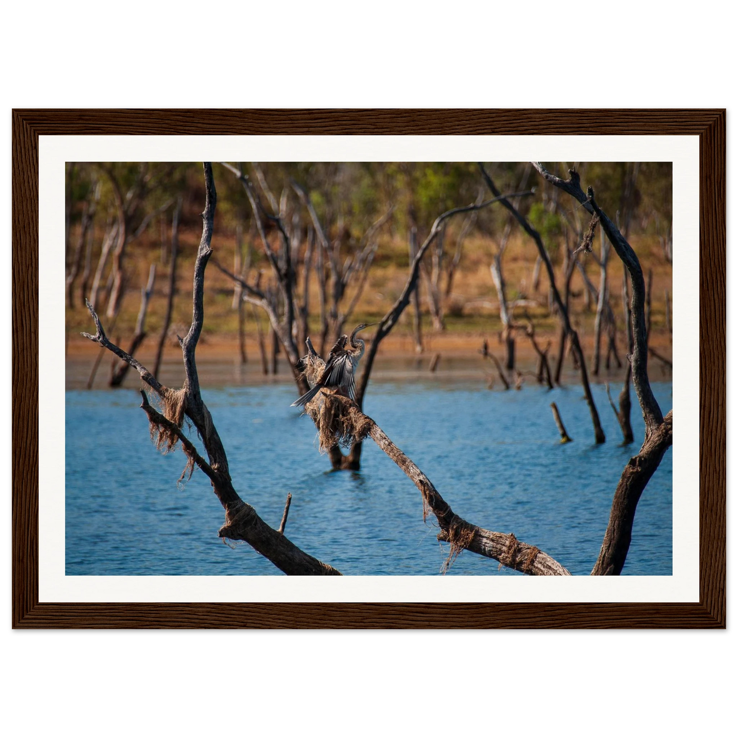 40311b7b-ed18-4c0f-ba54-4d8335442693