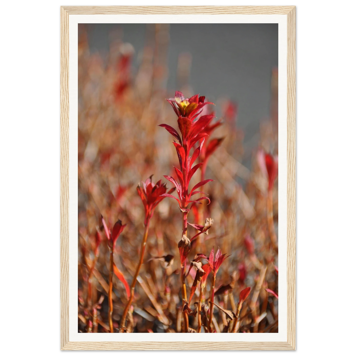 42e32741-1b58-4541-a777-5570cd19e21f