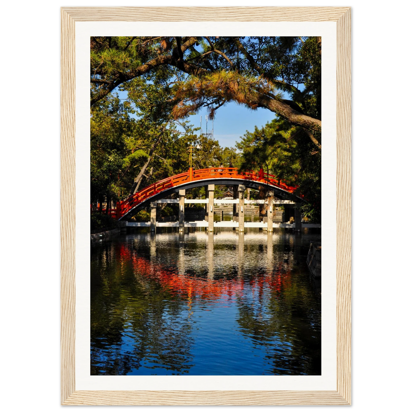 46f6c4ce-a492-4110-9114-7a3dff084dc9