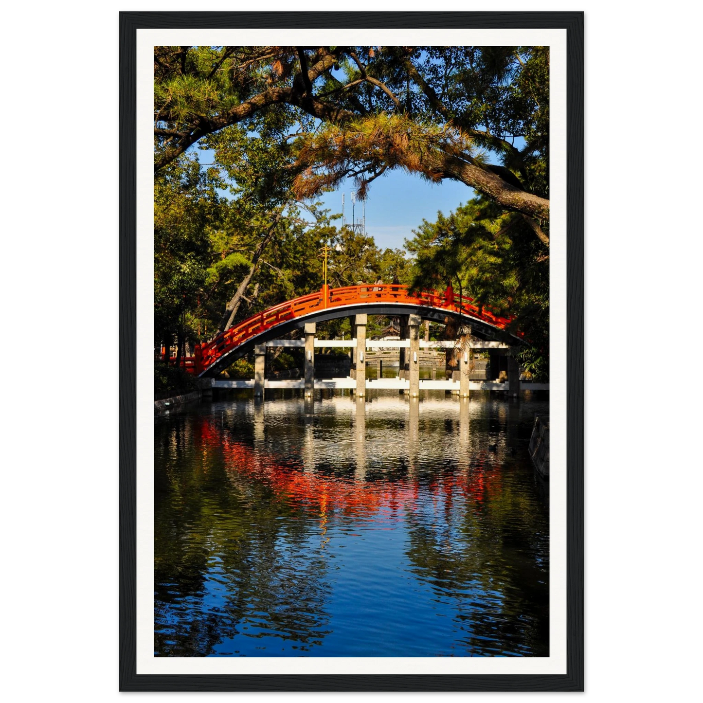 47aad8d1-e96e-4719-8992-34babf1d3266