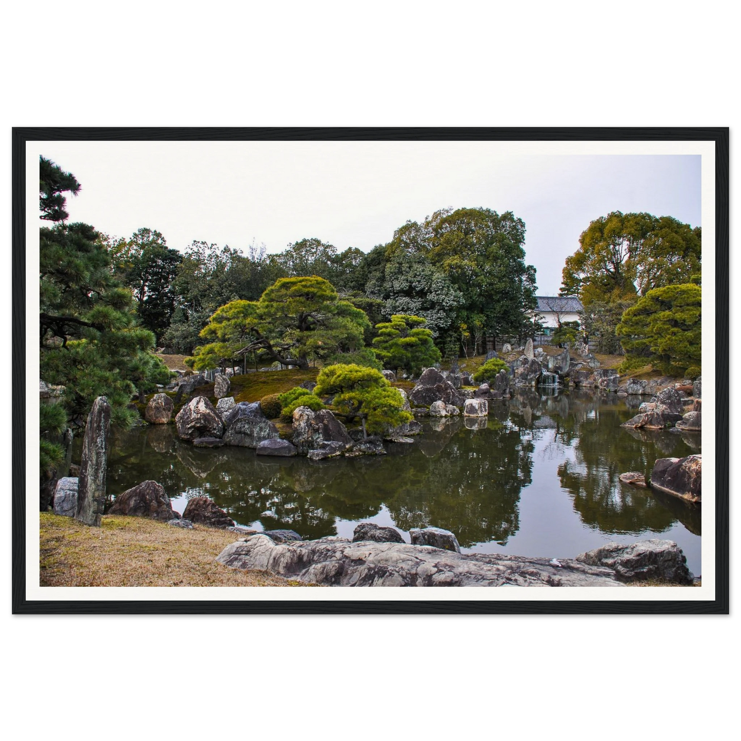 47eb4933-79da-4665-b05a-1469d20b51fd