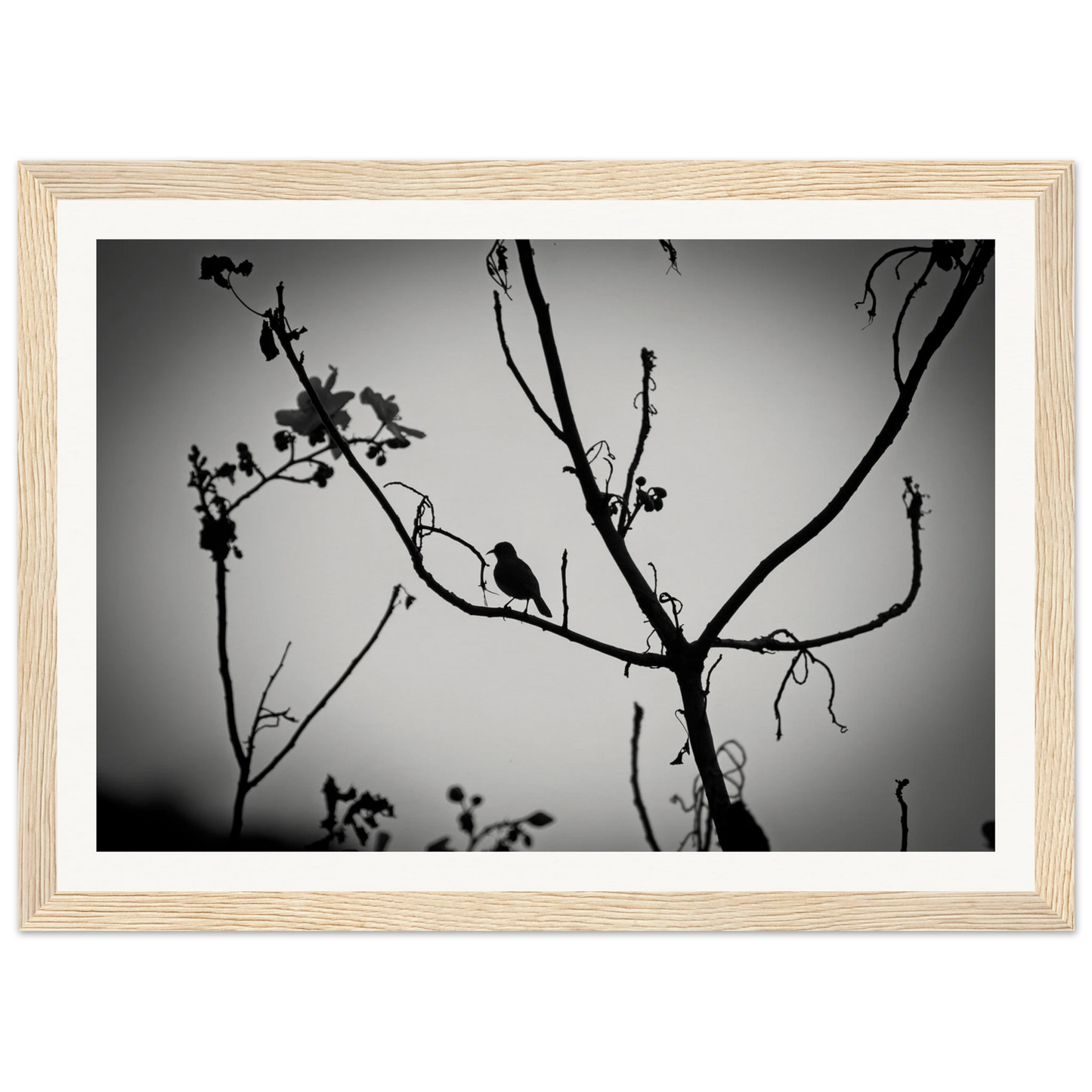 4899a508-3ac2-434e-b983-e3c510886215