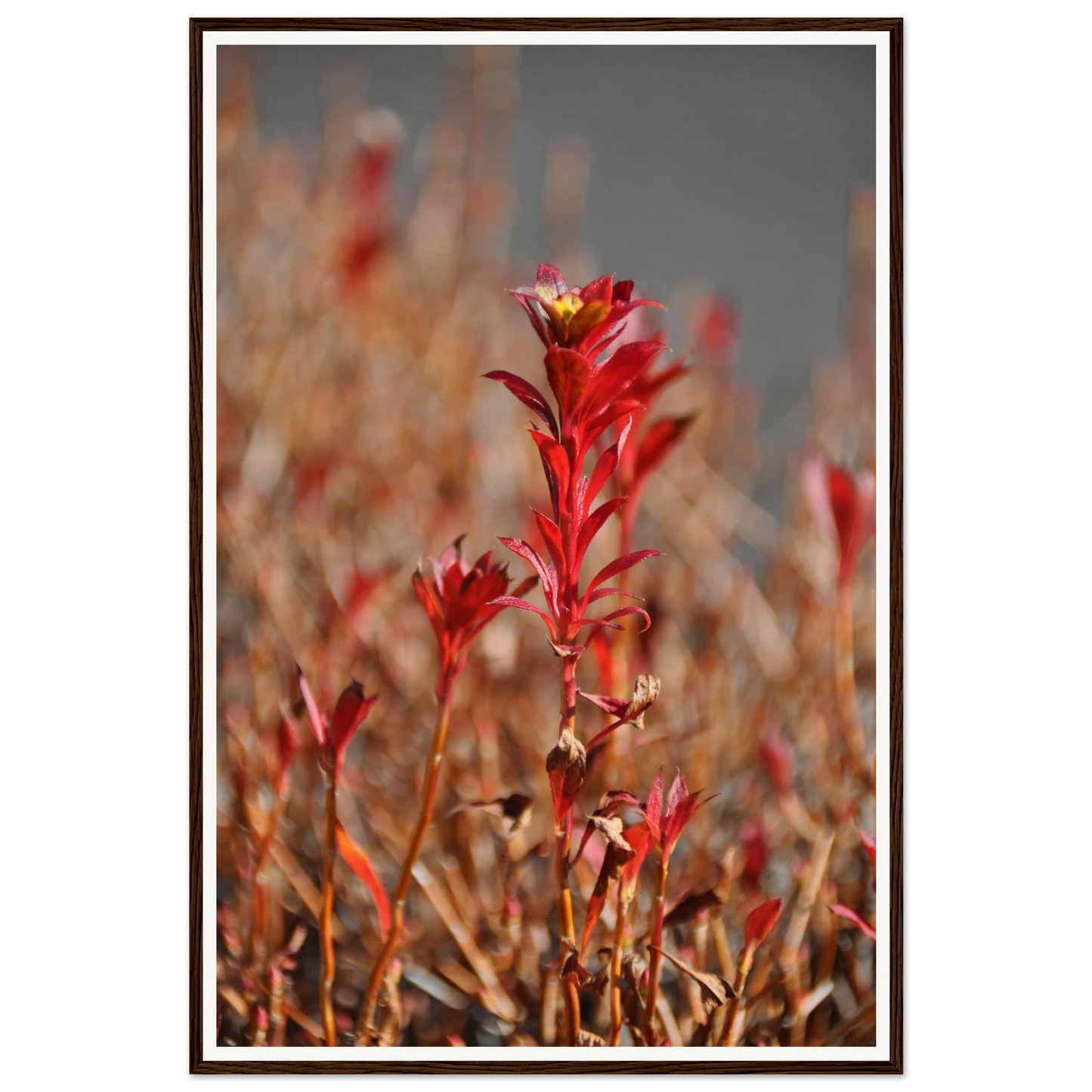 4bc246fe-ca37-4811-80db-d949cdcd51d0